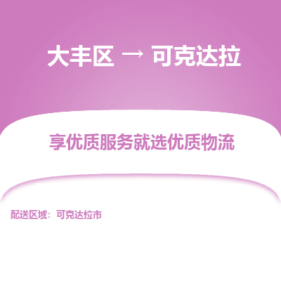 大丰区到可克达拉物流公司-大丰区至可克达拉专线高企业信誉配送