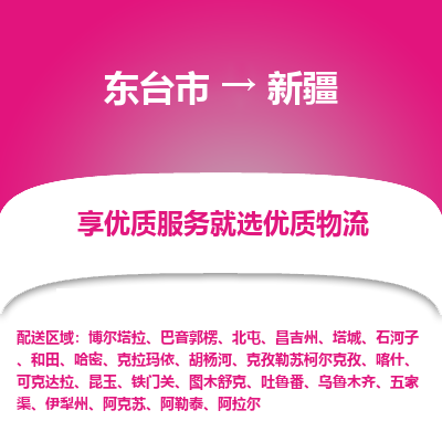 东台市到新疆物流公司-东台市到新疆物流专线-东台市到新疆货运