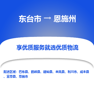 东台市到恩施州物流公司-东台市到恩施州物流专线-东台市到恩施州货运