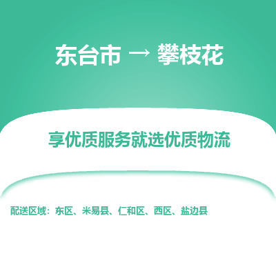 东台市到攀枝花物流公司-东台市到攀枝花物流专线-东台市到攀枝花货运