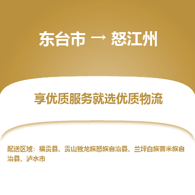 东台市到怒江州物流公司-东台市到怒江州物流专线-东台市到怒江州货运