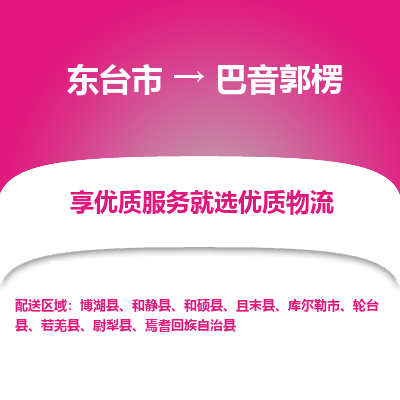 东台市到巴音郭楞物流公司-东台市到巴音郭楞物流专线-东台市到巴音郭楞货运