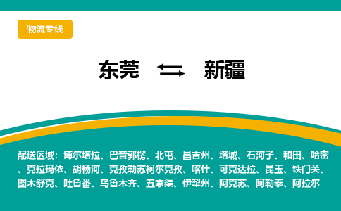 东莞到新疆物流专线-高效、便捷、省心东莞至新疆专线